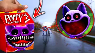 Do Not Order CATNAP HAPPY MEAL From MCDONALDS!! *POPPY PLAYTIME CHAPTER 3 SECRETS*