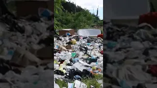 Roma, la discarica dei Parioli: tra i rifiuti anche auto arrugginite e frigoriferi #shorts #news