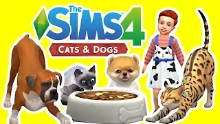 The Sims 4 Cats and Dogs Gameplay