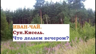 ВЛОГ.Иван-чай.Что делаем вечером?