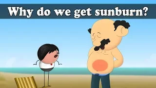 Why do we get sunburn? | #aumsum #kids #science #education #children