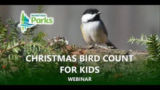 Winter Birds Webinar - Christmas Bird Count for Kids