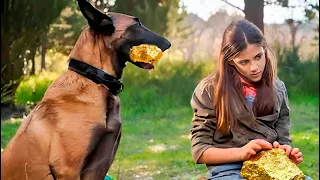 ¡Un Perro Encuentra Mucho Oro En La Granja De Una Niña Pobre Y La Hace Millonaria!