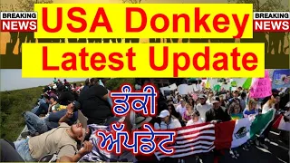 USA ki Donkey | LATEST USA DONKEY UPDATE | USA New Donkey Flight Route--America Donkey Latest Update