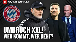 Tuchels Erbe: So heiß sind Alonso, Zidane, Emery & Co. als Bayern-Trainer | Was geht, Bundesliga?