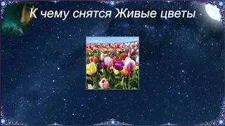 К чему снятся Живые цветы (Сонник)