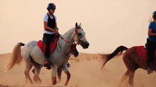 DUBAI HORSE RIDING - AMAZING VIDEO [by Supek Team Endurance]