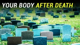 What Happens to Your Body After Death