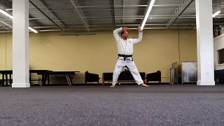 Karate Kata: Heian Yondan (#4)