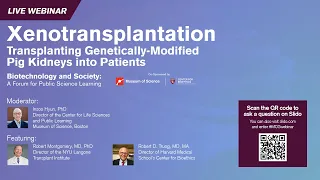 Xenotransplantation: Transplanting Genetically-Modified Pig Kidneys into Patients