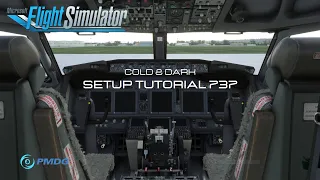 BOEING 737 Pilot - Cold & Dark SETUP - PMDG FS2020 Deutsch