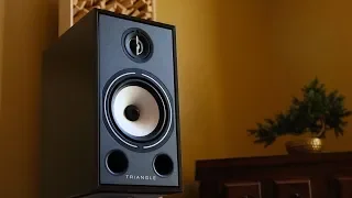 Stunning affordable speakers! | The Triangle Borea BR03 Review!