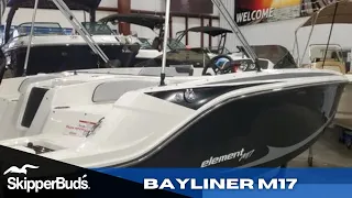 2022 Bayliner M17 Element Sport Boat Tour SkipperBud's