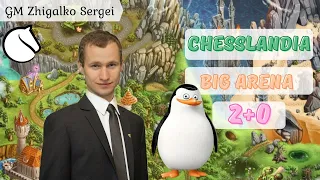 МАГНУС КАРЛСЕН - СЕРГЕЙ ЖИГАЛКО! Матч! + Кубок Чессландии! Пингвин, Бортник! Шахматы. На lichess.org