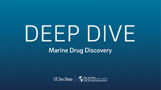 Deep Dive: Marine Drug Discovery with Paul Jensen