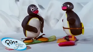 Pingu Becomes and Athlete 🐧 | Pingu - Official Channel | Cartoons For Kids