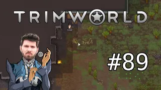 (T)RimWorld #89 mit Matteo