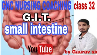 Small intestine (digestive system) by gaurav sir