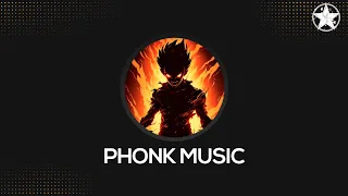 TOP BRAZILIAN PHONK/KRUSHFUNK SONGS MIX 2024 ※ Tik Tok Viral Phonk Playlist #114