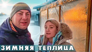 Зимняя теплица / Обзор посадок через 20 дней Январь