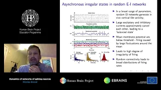 Brunel Nicolas - Dynamics of networks of spiking neurons