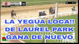 LA YEGUA LOCA DE LAUREL PARK - LO VOLVIO HACER - #hipismo EN VIVO