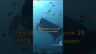 What Nasa found in the ocean‼️😱