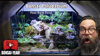 Creating a Tropical Bonsai Waterfall Paludarium - Bonsai-YEAH!