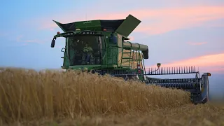 South Texas Wheat Harvest Is Stickyyy