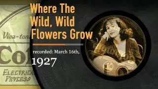 :: 90 :: The Lee Morse Discography :: Where The Wild, Wild Flowers Grow : Columbia 1927