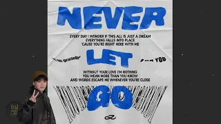 Jung Kook (정국) 'Never Let Go' Lyrics