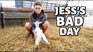 This should cheer her up!  (Jess's first harvest OOPSIES.):  Vlog 356