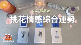 💙 塔羅占卜| 🌸2022農曆年桃花情感綜合運勢| 有機會脫單嗎？感情發展順利嗎| 宇宙的建議和指引(Timeless)