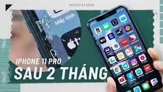 Đánh giá iPhone 11 Pro sau 2 tháng sử dụng