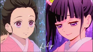 Kanao & Nezuko || Lily | AMV