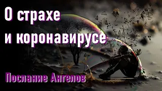 🔹Послание Ангелов-ченнелинг