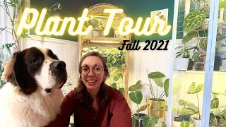 Houseplant Tour Fall 2021| Rare Plants & Common Plants