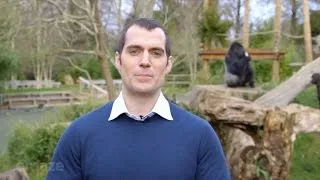 Henry Cavill Tries (and Fails!) to Convince Kids to Choose Superman Over Batman