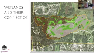 Restoring our Land: A Virtual Nature Walk Through Deer Grove East