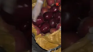 Забористый урожай: наркоборцы изъяли яблоки с наркотиками