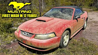 First Wash in 12 Years: ABANDONED Ford Mustang! | Car Detailing Restoration