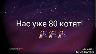 St.M.❤80 КОТЯТ ❤||Это надо отметить😏🍺||Лю вас