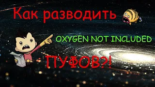 Ставим разведение пуфов на поток!