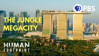 Singapore: Designing a Megacity in Harmony with Nature 🌳