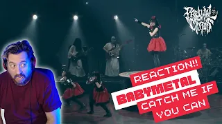Guitarist Reaction!! BabyMetal - Catch Me If You Can!!
