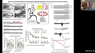 Calorie/component restriction- Metabolism-based Therapies for Epilepsy Workshop