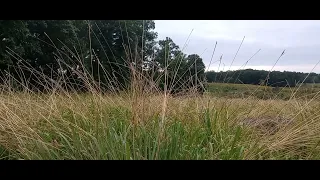 Listening for Gettysburg Ghostly cannon fire. 5 sec after I stopped recording it happened.