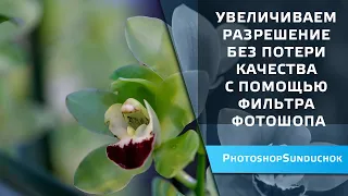 Увеличиваем разрешение без потери качества с помощью фильтра фотошопа