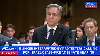 Blinken Interrupted by Protesters Calling for Israel Cease-Fire at Senate Hearing