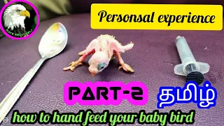 how to hand feed a baby bird (part-2) | tamil | more about pets | MAP |